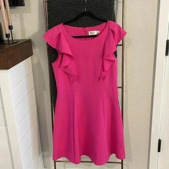 NWOT Nordstrom Eliza J Pink Dress NWOT Nordstrom Eliza J Pink Dress